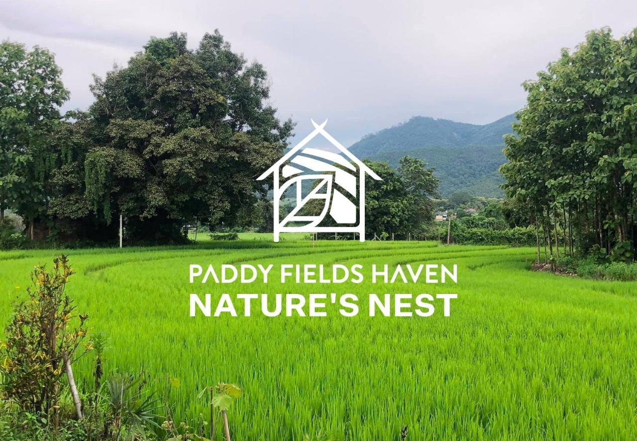 Paddy Fields Haven - Natures Nest Pai Dış mekan fotoğraf