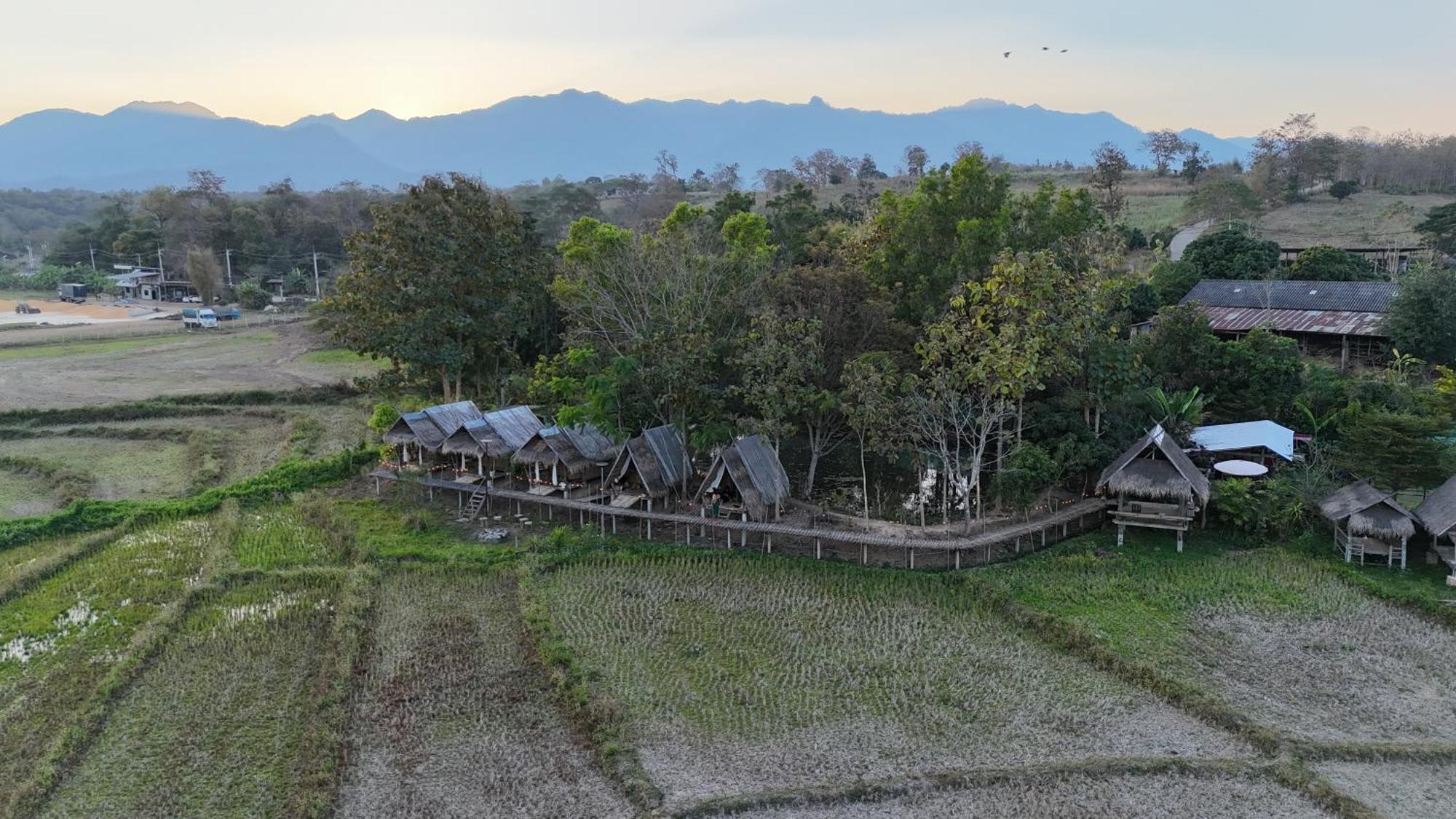 Paddy Fields Haven - Natures Nest Pai Dış mekan fotoğraf