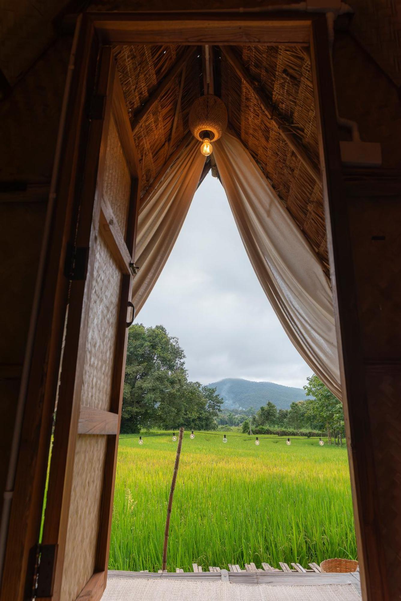 Paddy Fields Haven - Natures Nest Pai Dış mekan fotoğraf