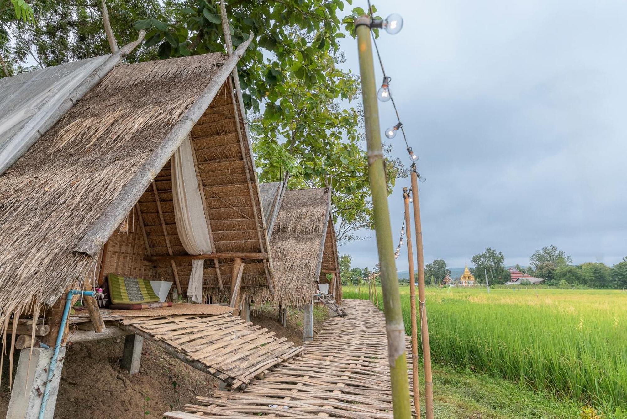 Paddy Fields Haven - Natures Nest Pai Dış mekan fotoğraf
