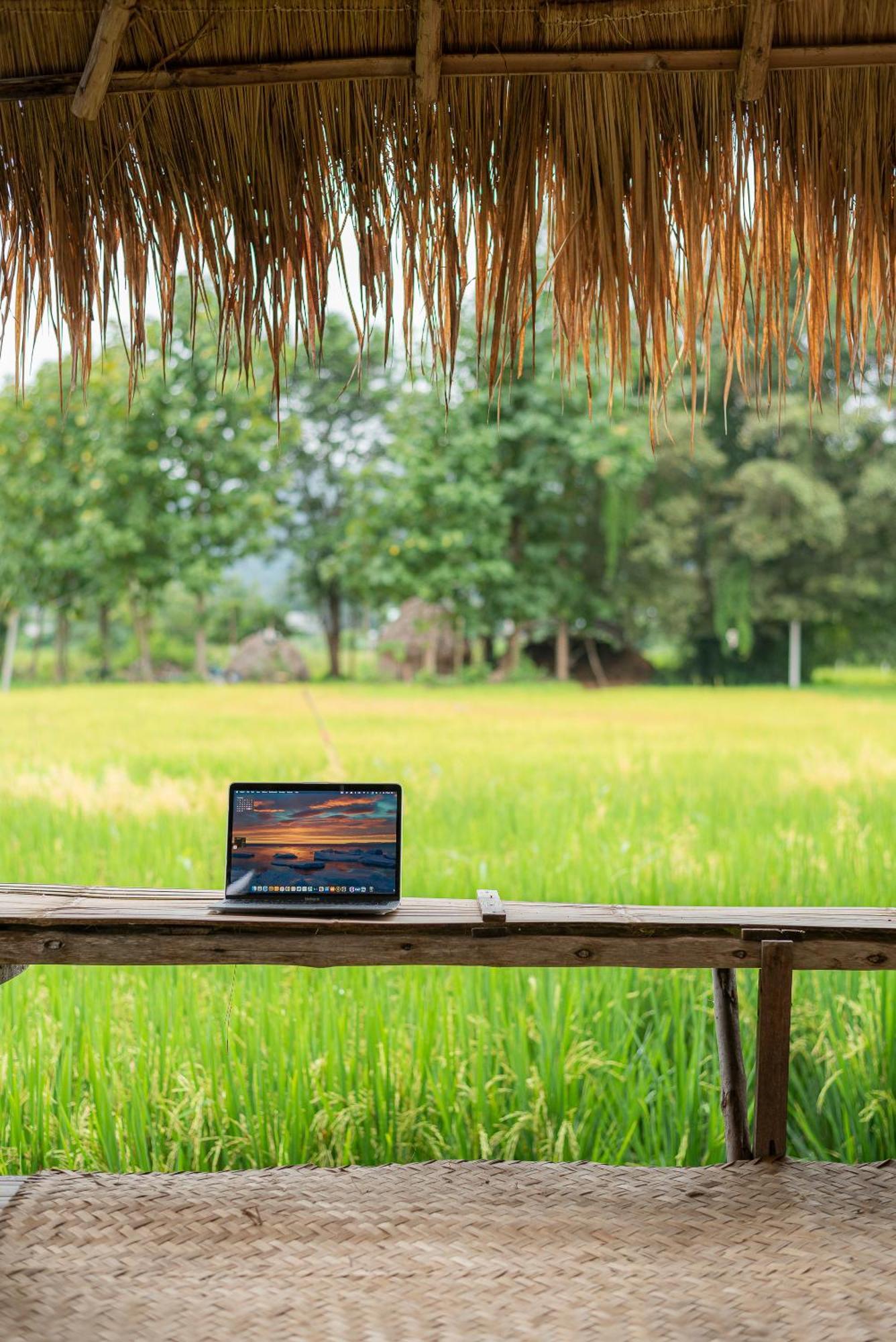 Paddy Fields Haven - Natures Nest Pai Dış mekan fotoğraf