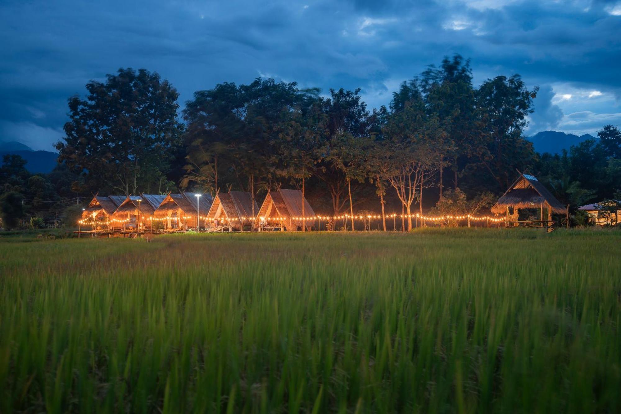 Paddy Fields Haven - Natures Nest Pai Dış mekan fotoğraf