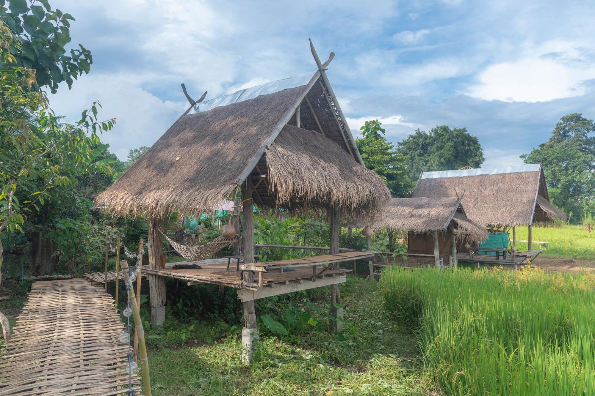 Paddy Fields Haven - Natures Nest Pai Dış mekan fotoğraf
