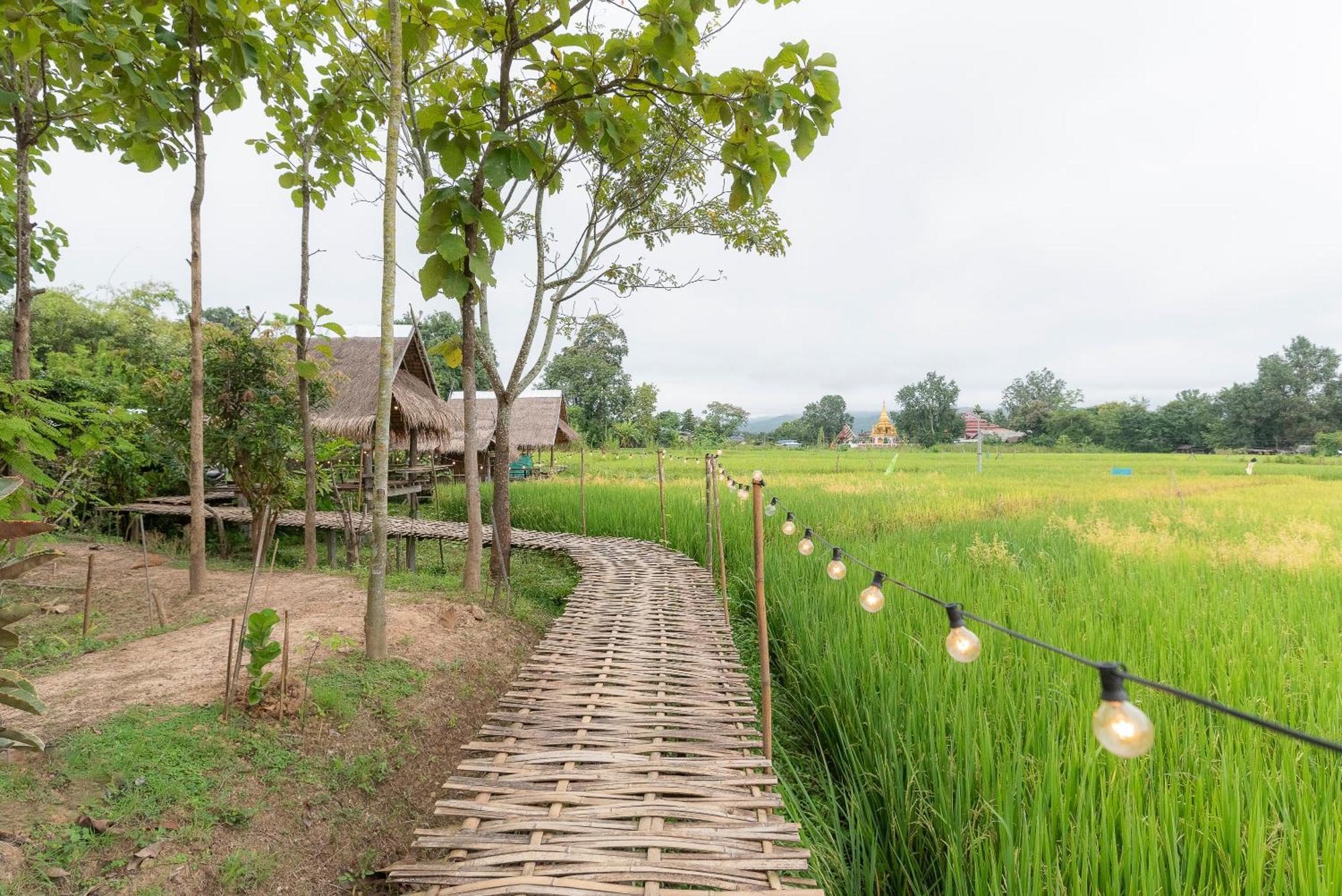Paddy Fields Haven - Natures Nest Pai Dış mekan fotoğraf