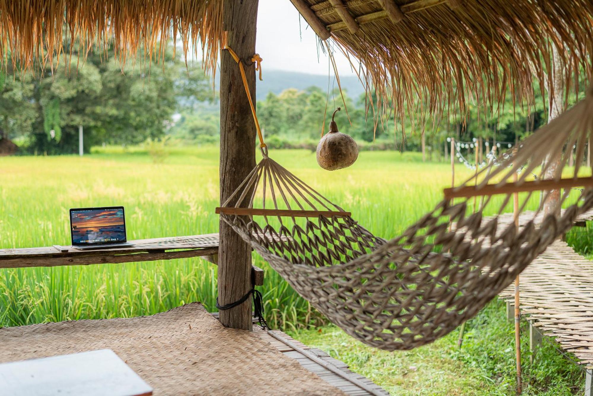 Paddy Fields Haven - Natures Nest Pai Dış mekan fotoğraf