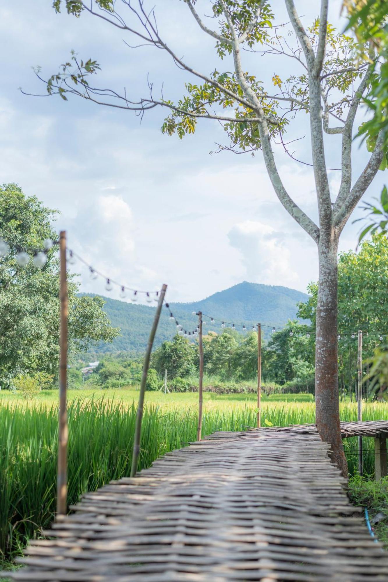 Paddy Fields Haven - Natures Nest Pai Dış mekan fotoğraf