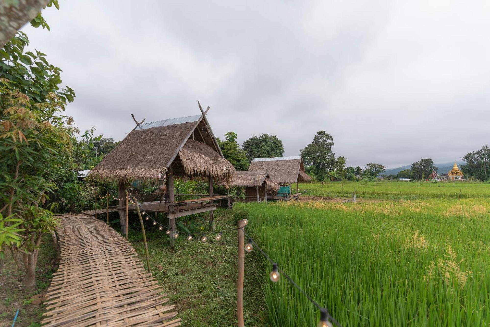 Paddy Fields Haven - Natures Nest Pai Dış mekan fotoğraf