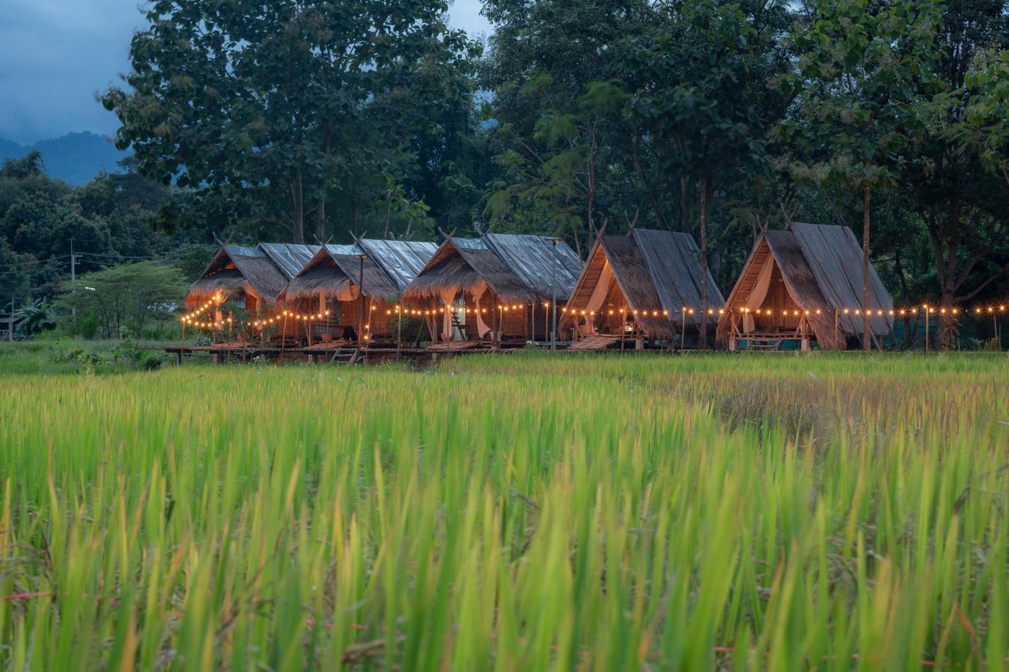 Paddy Fields Haven - Natures Nest Pai Dış mekan fotoğraf