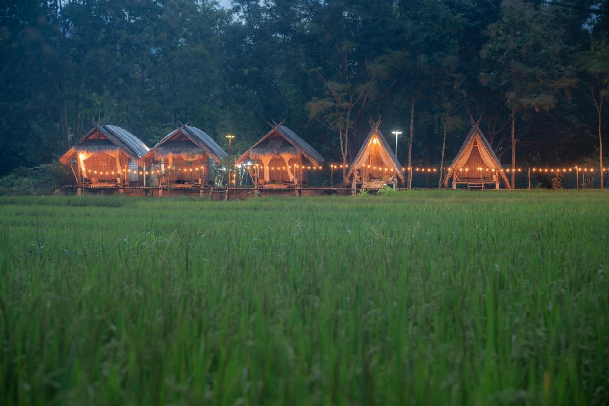 Paddy Fields Haven - Natures Nest Pai Dış mekan fotoğraf